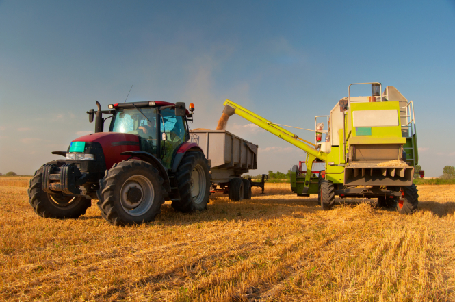 Біологічні добрива: переваги та недоліки